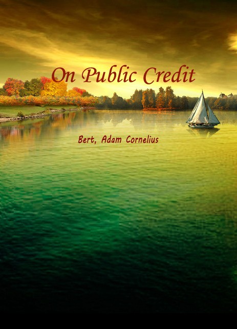 On Public Credit