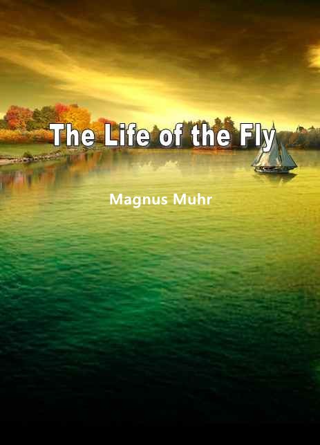 The Life of the Fly