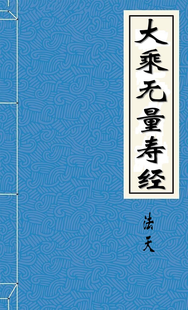 大乘无量寿经
