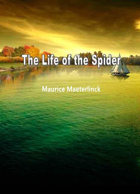 The Life of the Spider