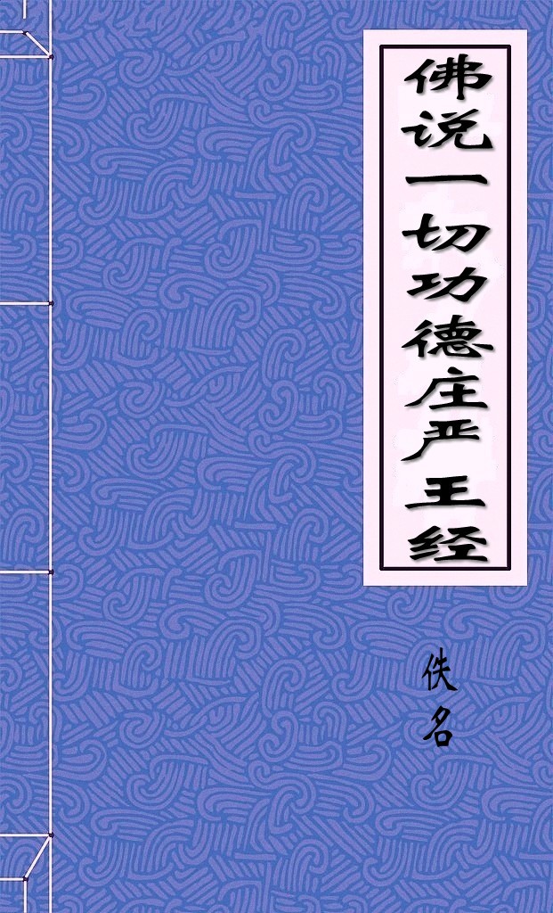 佛说一切功德庄严王经