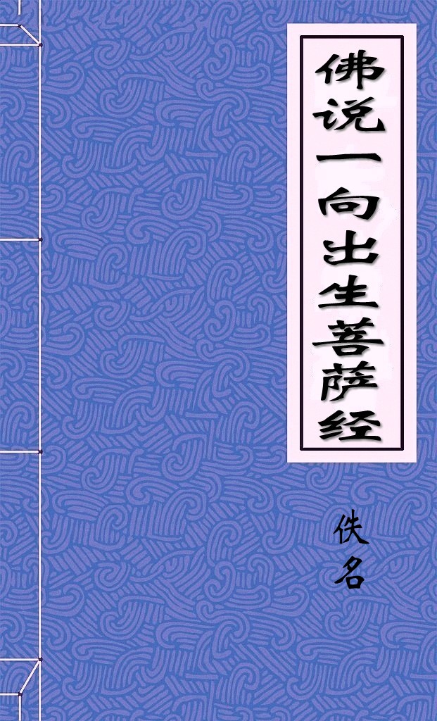 佛说一向出生菩萨经