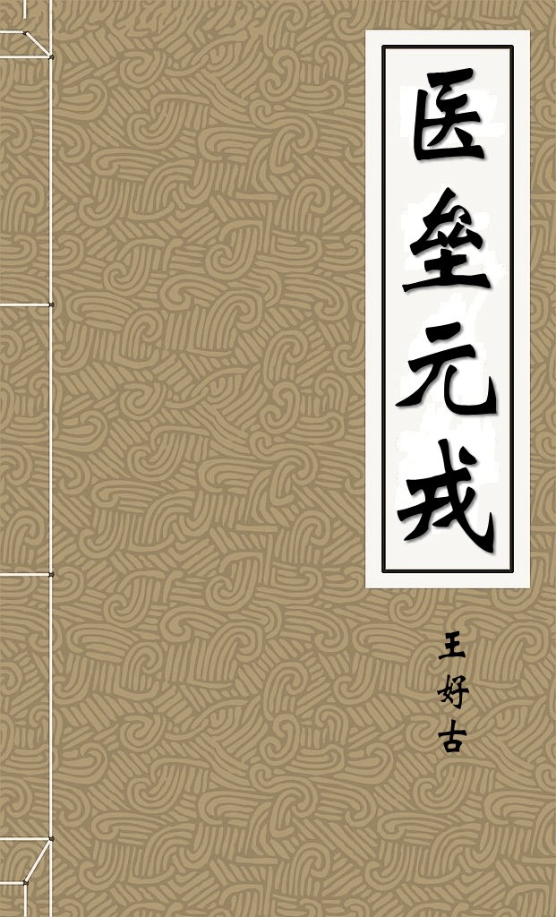 医垒元戎