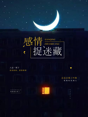 感情捉迷藏
