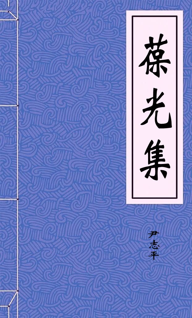 葆光集