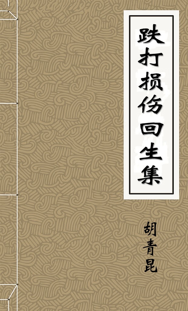 跌打损伤回生集