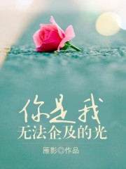 你是我无法企及的光