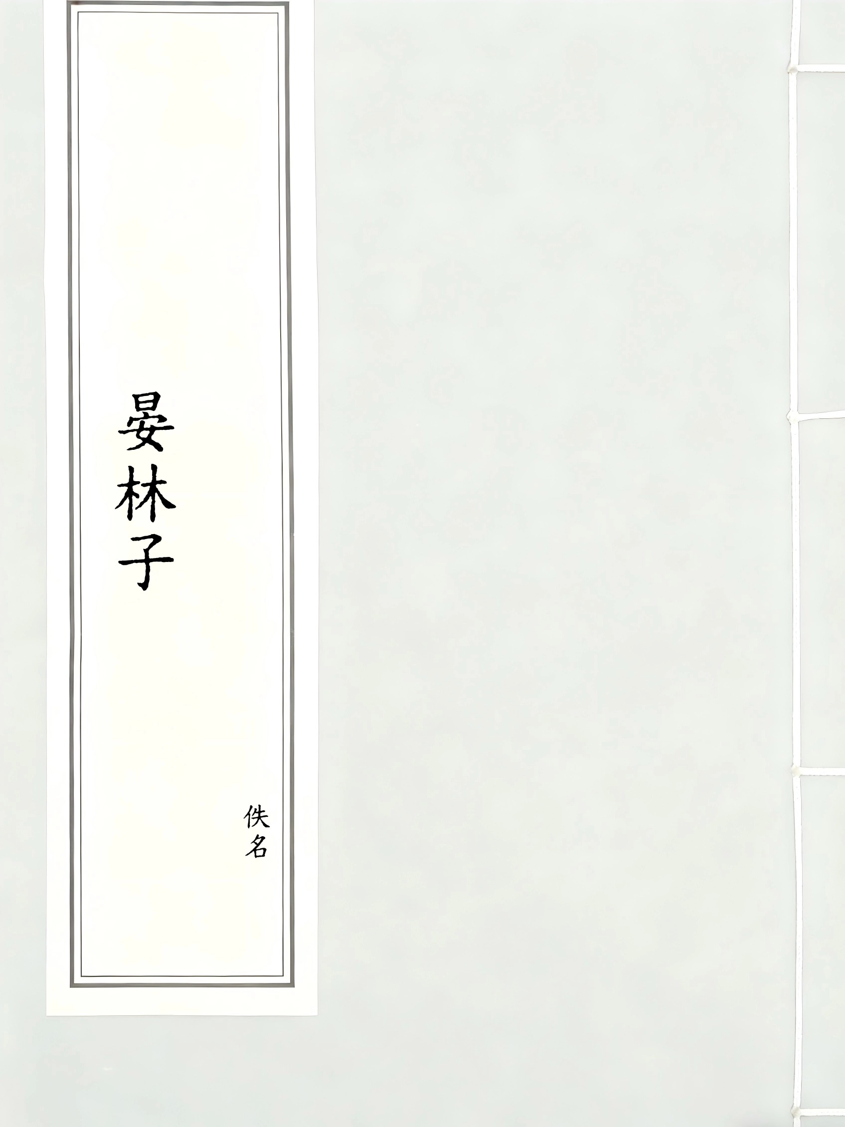 晏林子