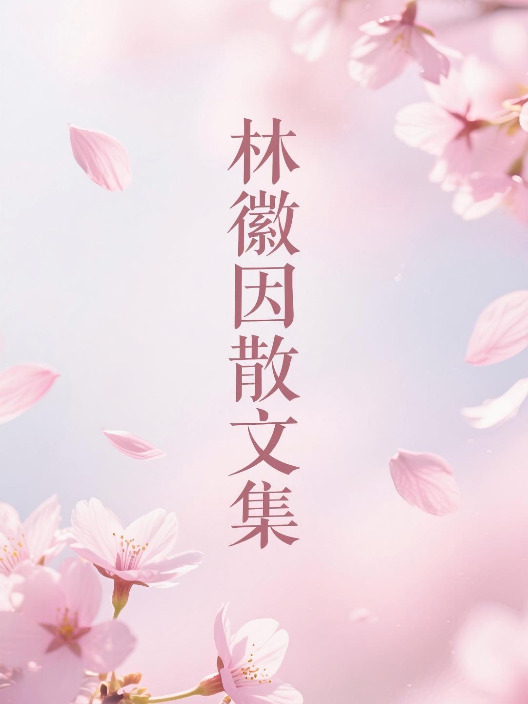 林徽因散文集