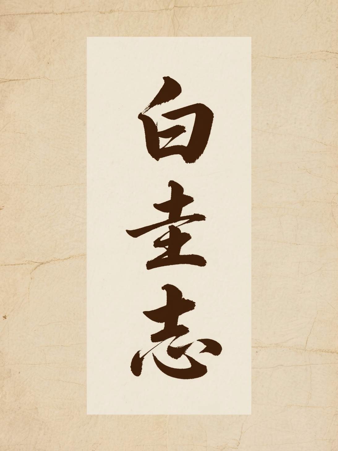 白圭志